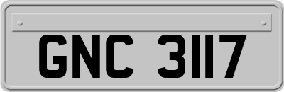 GNC3117
