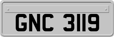 GNC3119