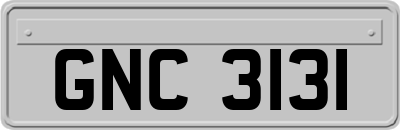 GNC3131