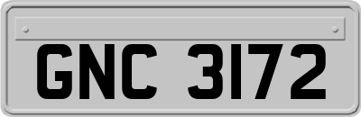 GNC3172