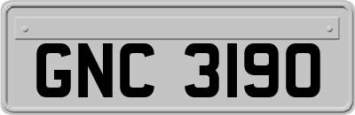 GNC3190