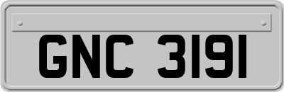 GNC3191