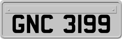 GNC3199