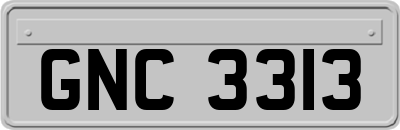 GNC3313