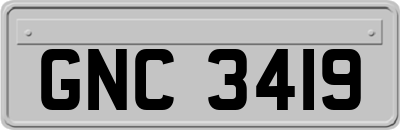 GNC3419