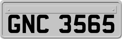 GNC3565