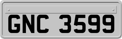 GNC3599