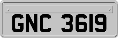 GNC3619