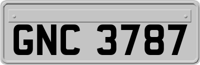 GNC3787