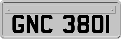 GNC3801
