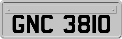 GNC3810
