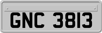 GNC3813