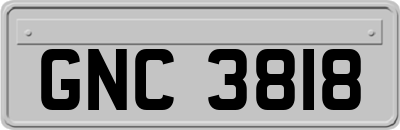 GNC3818
