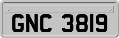 GNC3819