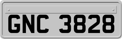 GNC3828