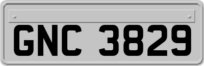 GNC3829
