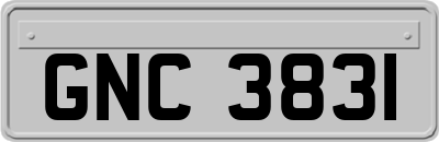 GNC3831
