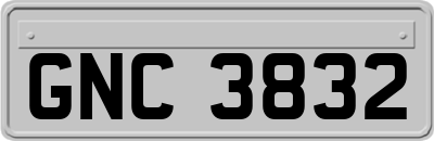 GNC3832