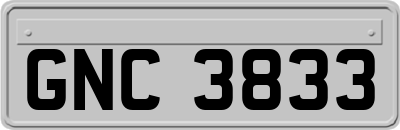 GNC3833