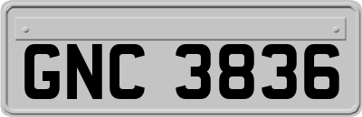 GNC3836