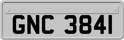 GNC3841