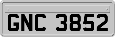 GNC3852