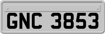 GNC3853