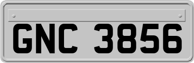 GNC3856