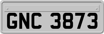GNC3873