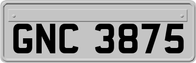 GNC3875