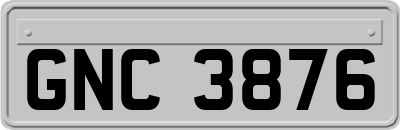 GNC3876