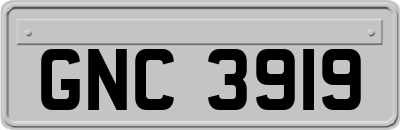 GNC3919