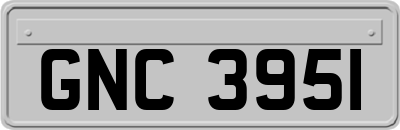 GNC3951