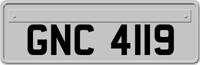 GNC4119