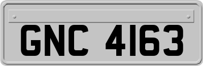 GNC4163
