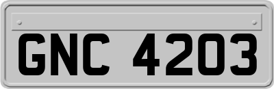 GNC4203