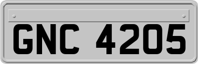 GNC4205