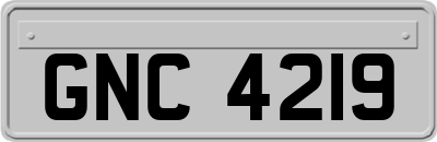 GNC4219