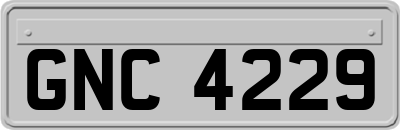 GNC4229