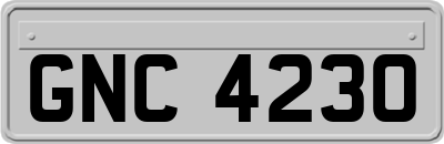 GNC4230