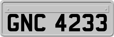 GNC4233