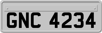 GNC4234