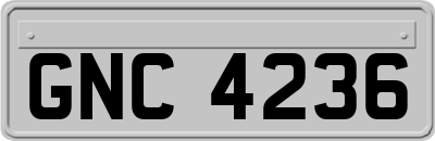 GNC4236