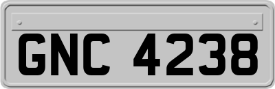 GNC4238