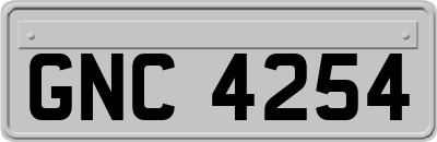 GNC4254