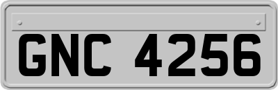 GNC4256