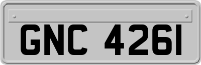 GNC4261
