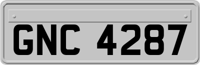 GNC4287