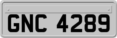 GNC4289