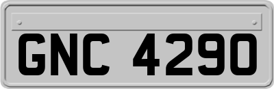 GNC4290